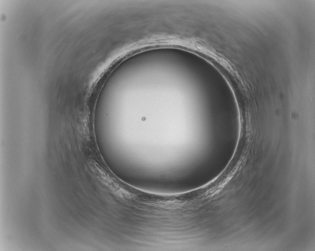 X0000060741502200511141119