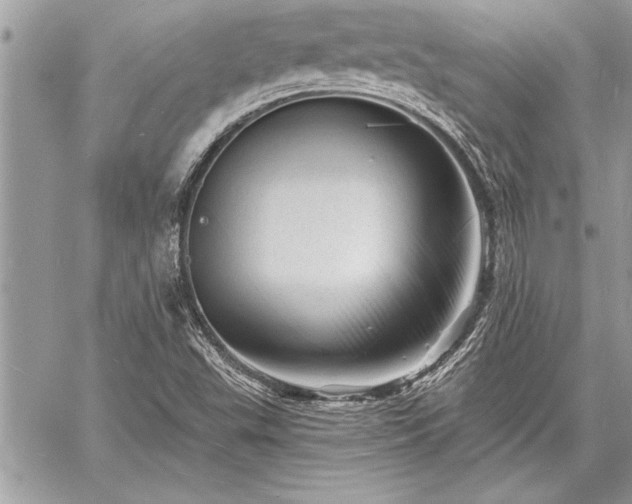 X0000060741503200511141119