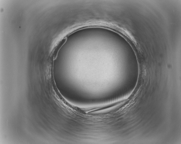 X0000060741504200511141119