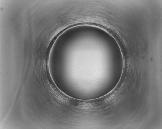 X0000060741505200511141119