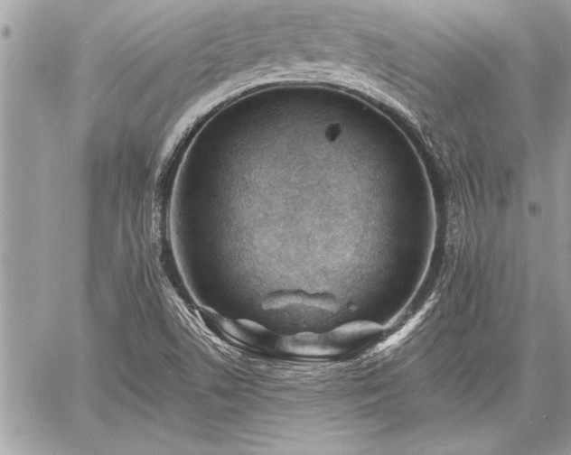 X0000060741506200511141119