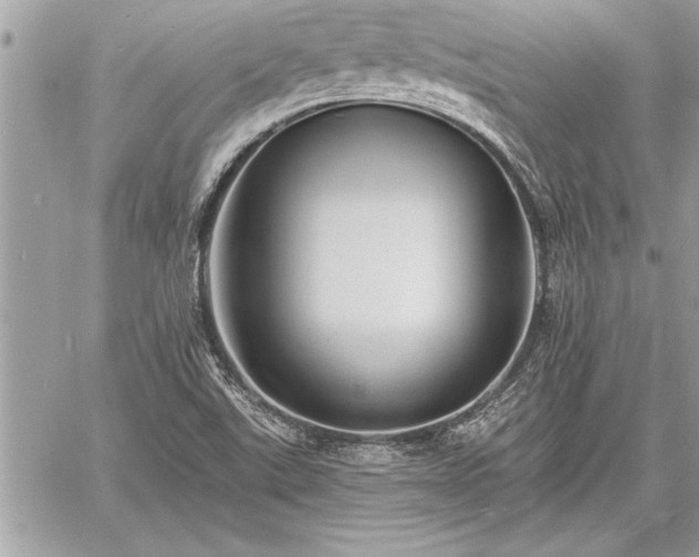 X0000060741507200511141119