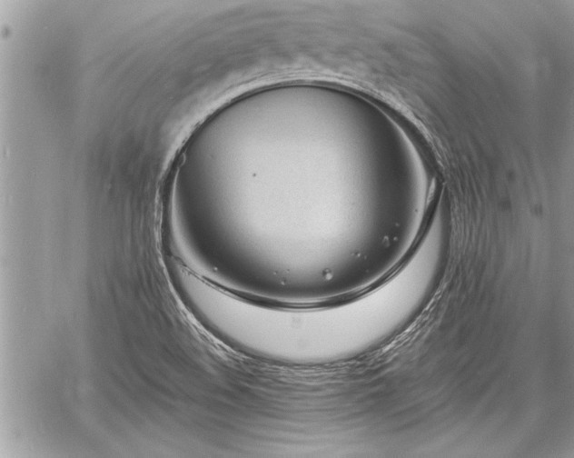 X0000060741508200511141119