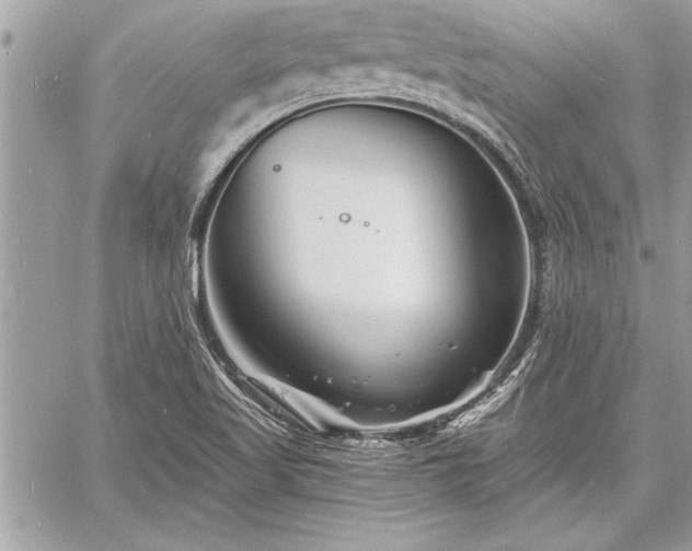 X0000060741509200511141119