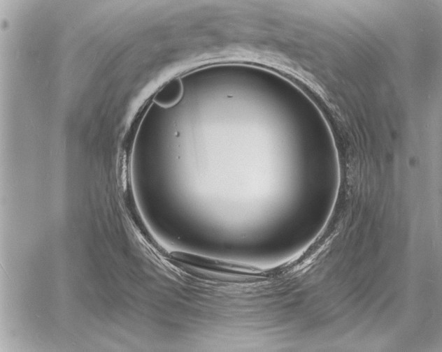 X0000060741510200511141119