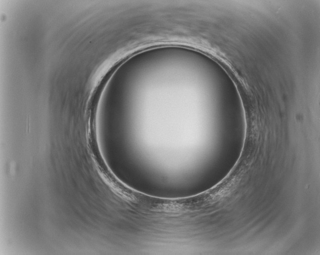 X0000060741511200511141119