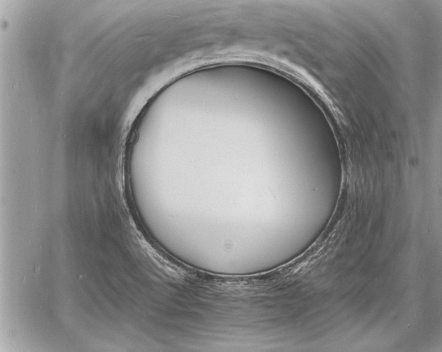 X0000060741512200511141119