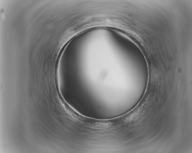 X0000060741513200511141119