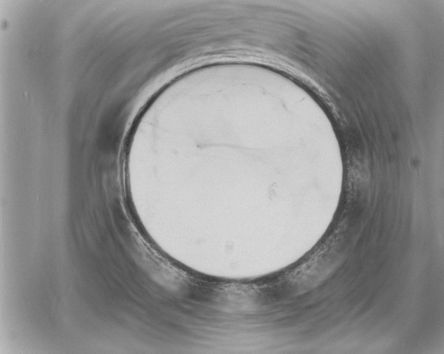 X0000060741514200511141119