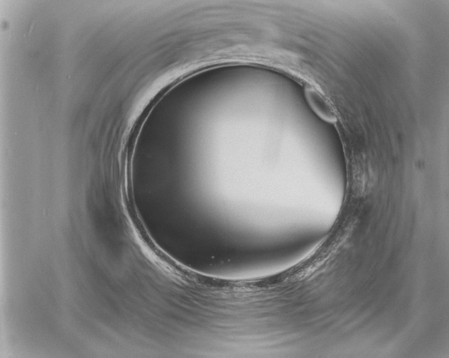 X0000060741515200511141119