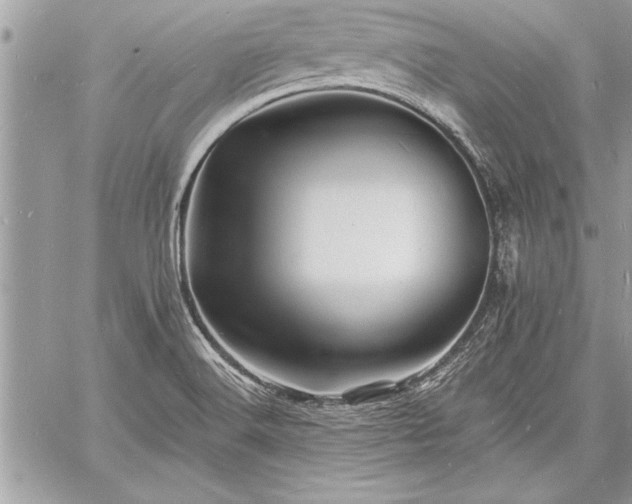 X0000060741516200511141119