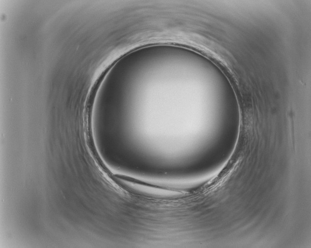 X0000060741517200511141119