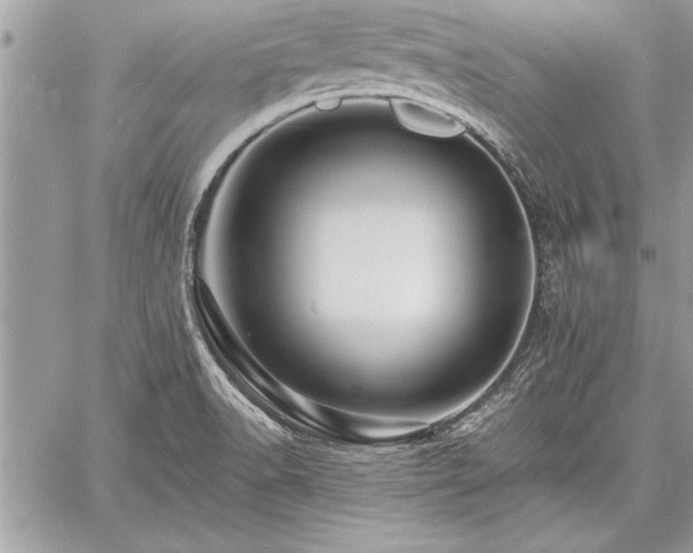 X0000060741518200511141119