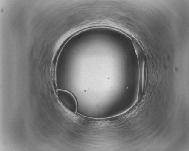 X0000060741519200511141120