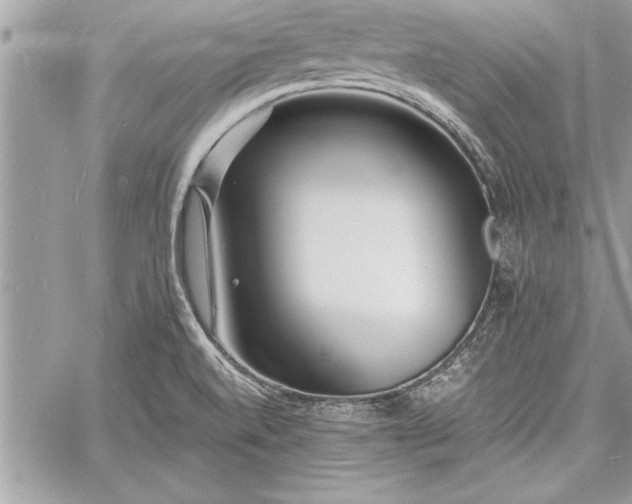 X0000060741520200511141120