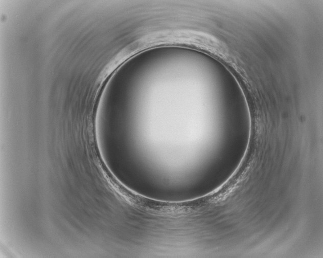 X0000060741521200511141120