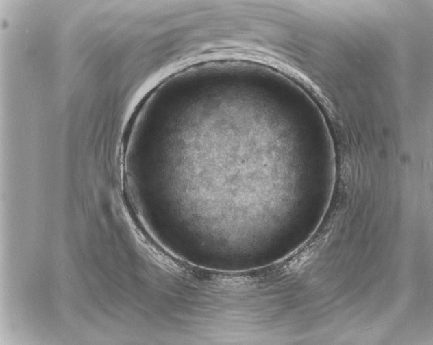 X0000060741522200511141120