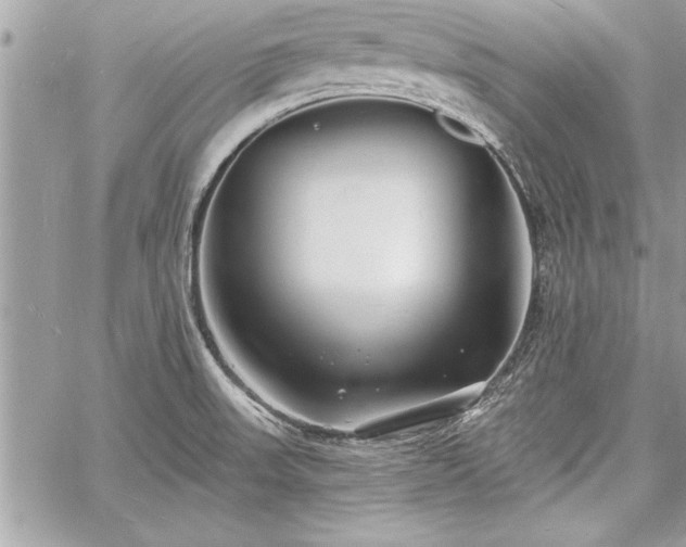 X0000060741523200511141120