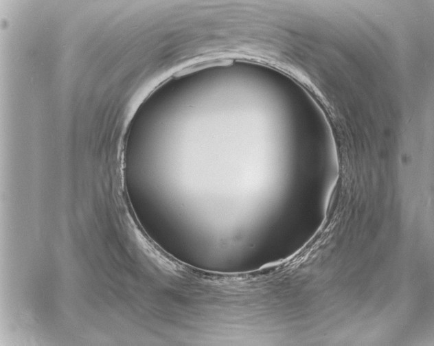 X0000060741524200511141120