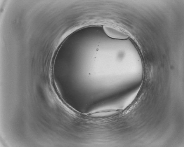 X0000060741525200511141120