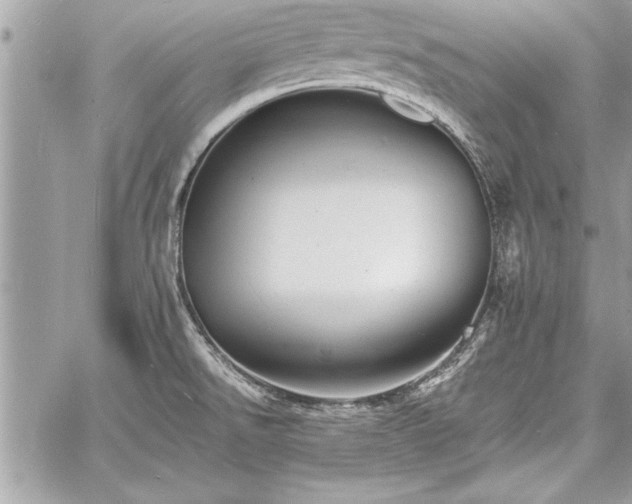 X0000060741526200511141120