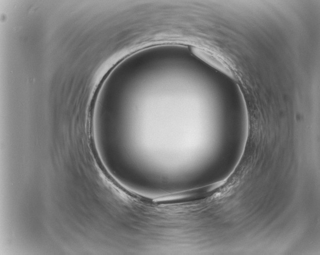 X0000060741527200511141120