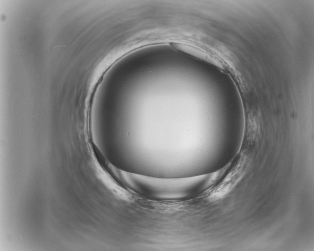 X0000060741528200511141120