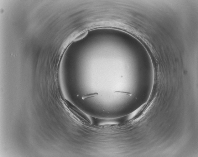 X0000060741529200511141120