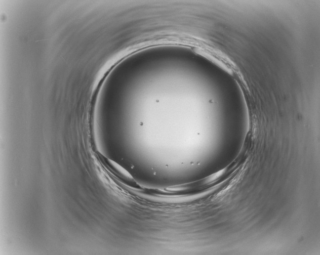 X0000060741530200511141120