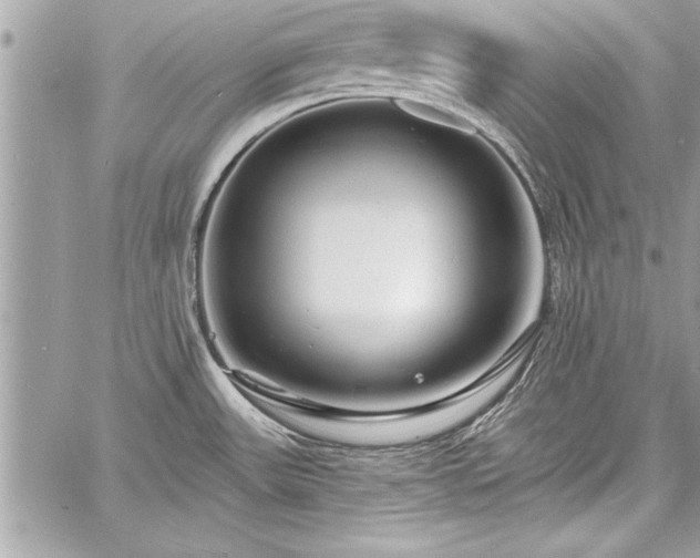 X0000060741531200511141120