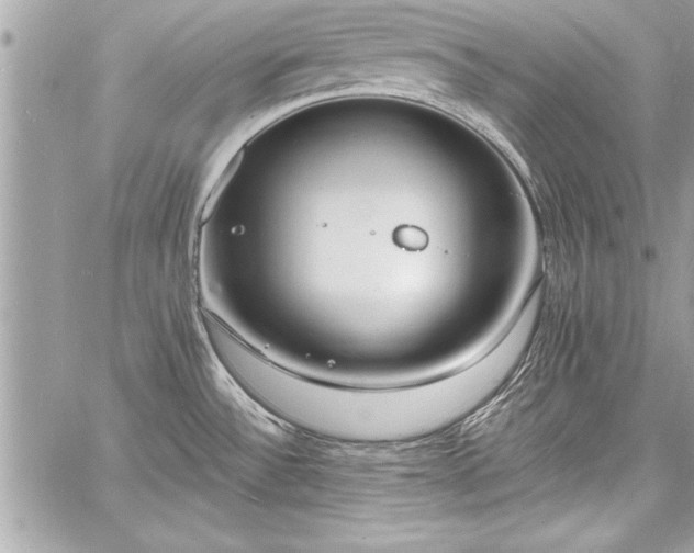 X0000060741532200511141120