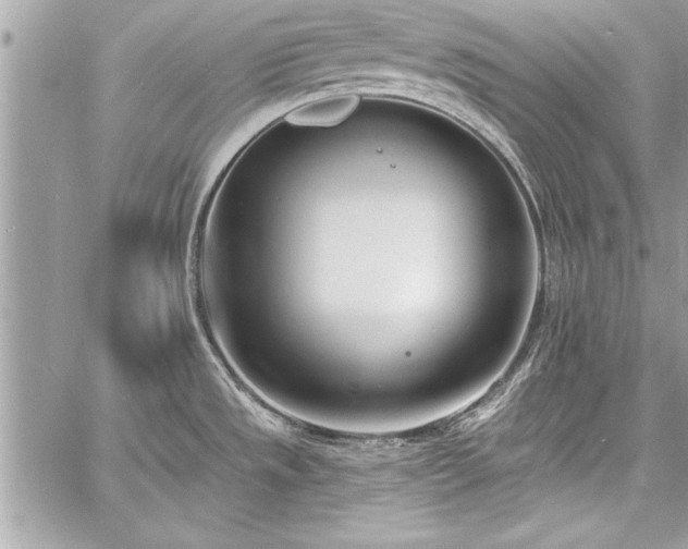 X0000060741533200511141120