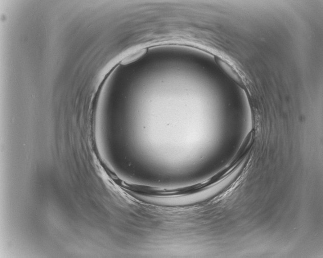 X0000060741534200511141120