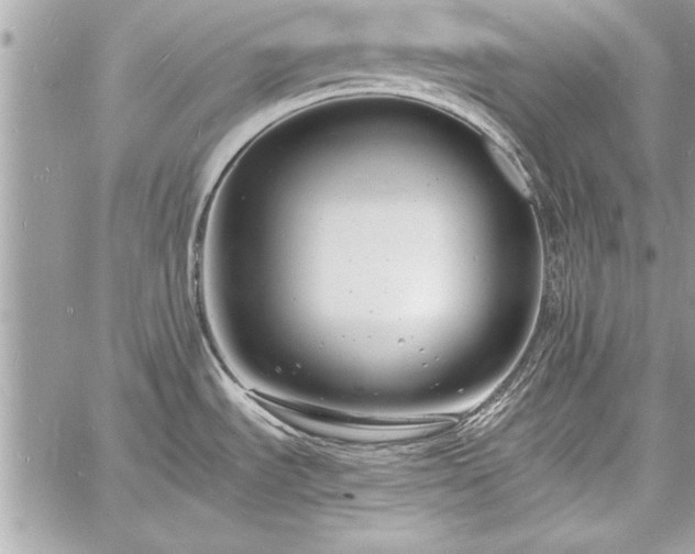 X0000060741535200511141120