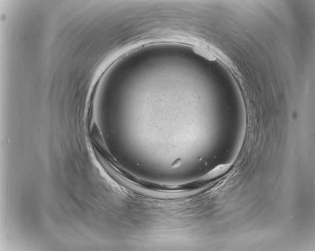 X0000060741536200511141120