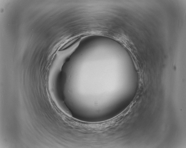 X0000060740001200511171109