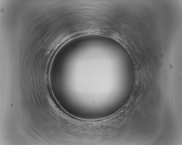 X0000060740002200511171109