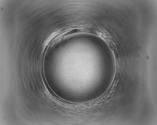 X0000060740003200511171109