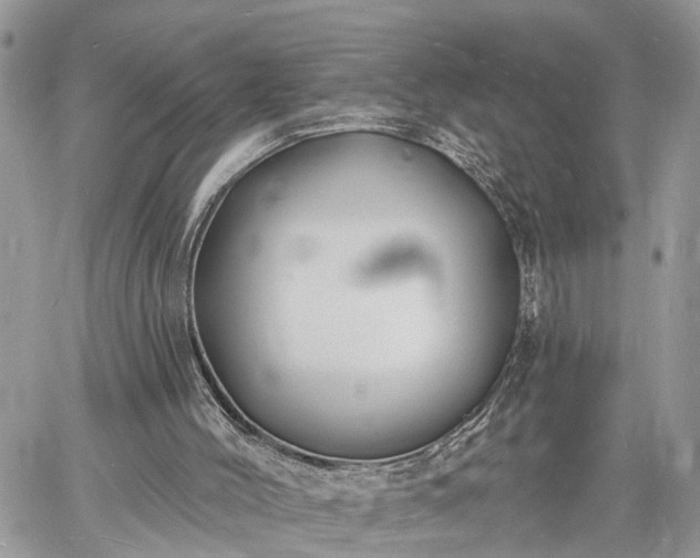 X0000060740004200511171109