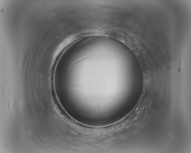 X0000060740006200511171109