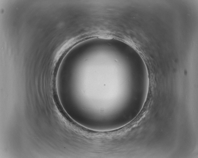 X0000060740007200511171109