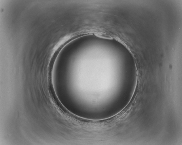 X0000060740008200511171109