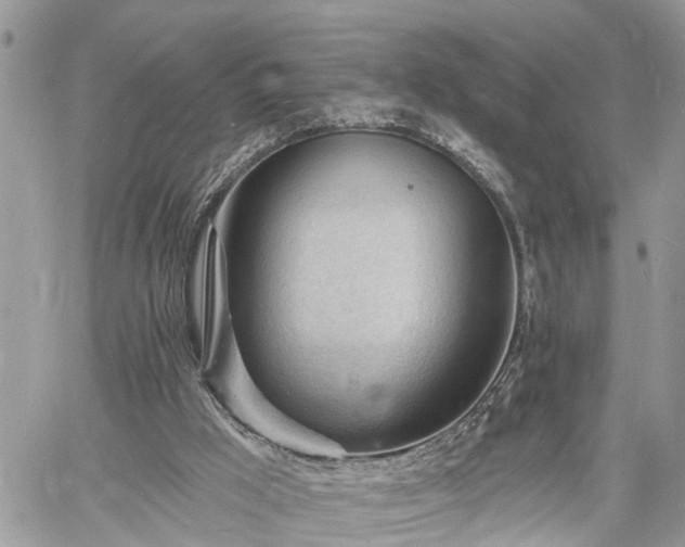 X0000060740009200511171109