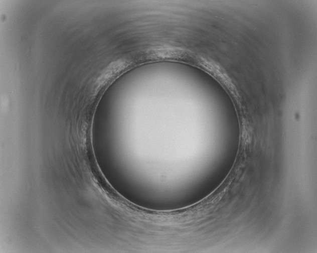 X0000060740010200511171109