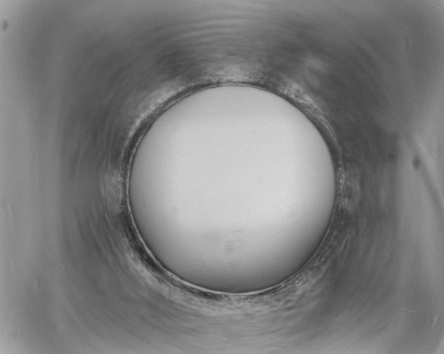 X0000060740012200511171109