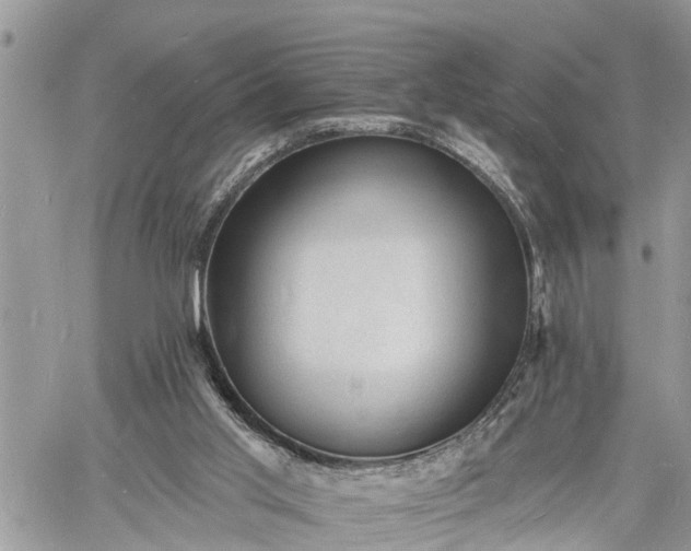 X0000060740013200511171109