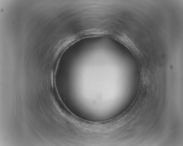 X0000060740014200511171109