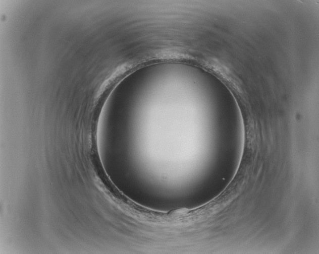 X0000060740015200511171109