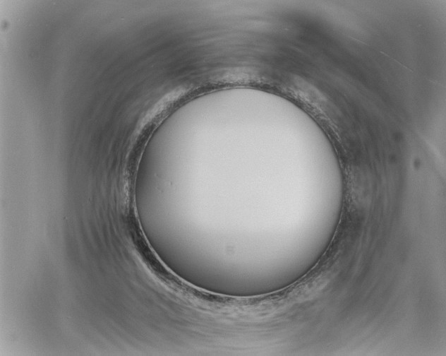 X0000060740016200511171109