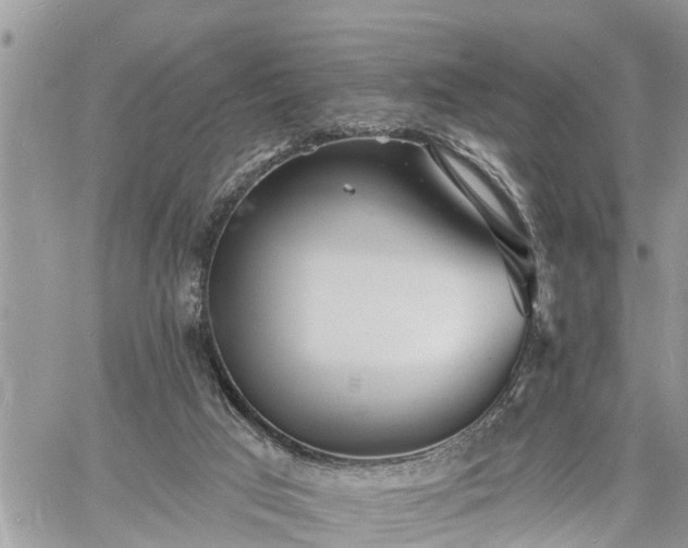 X0000060740017200511171109